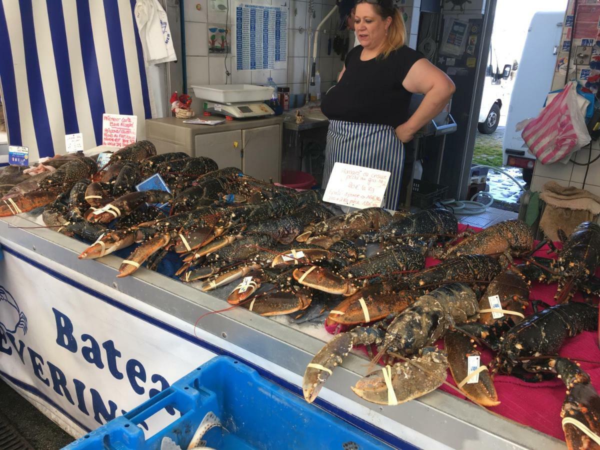 Au Grand Large Βίλα Wimereux Εξωτερικό φωτογραφία